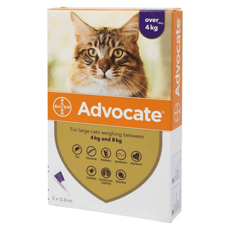 Advocate for Cats Spot On (For Large Cats over 4kg) - 1 Pipette - Amin Pet Shop