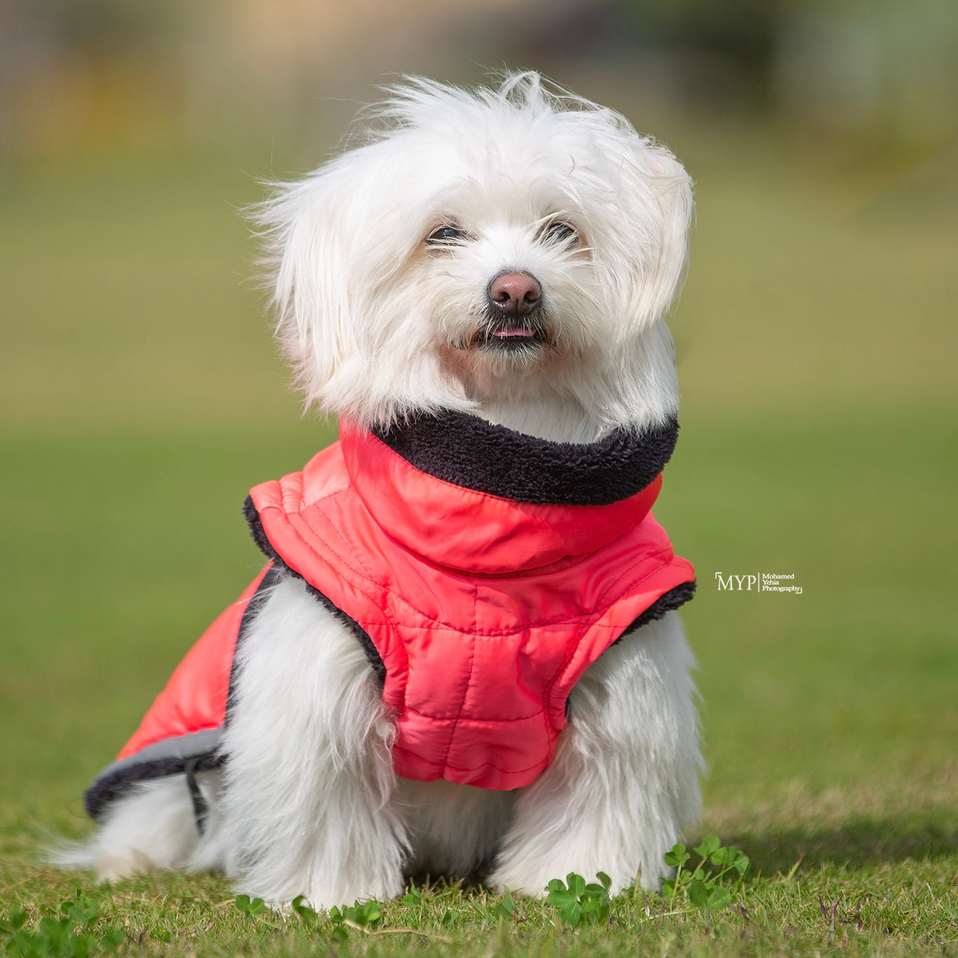 Pink Waterproof Coat