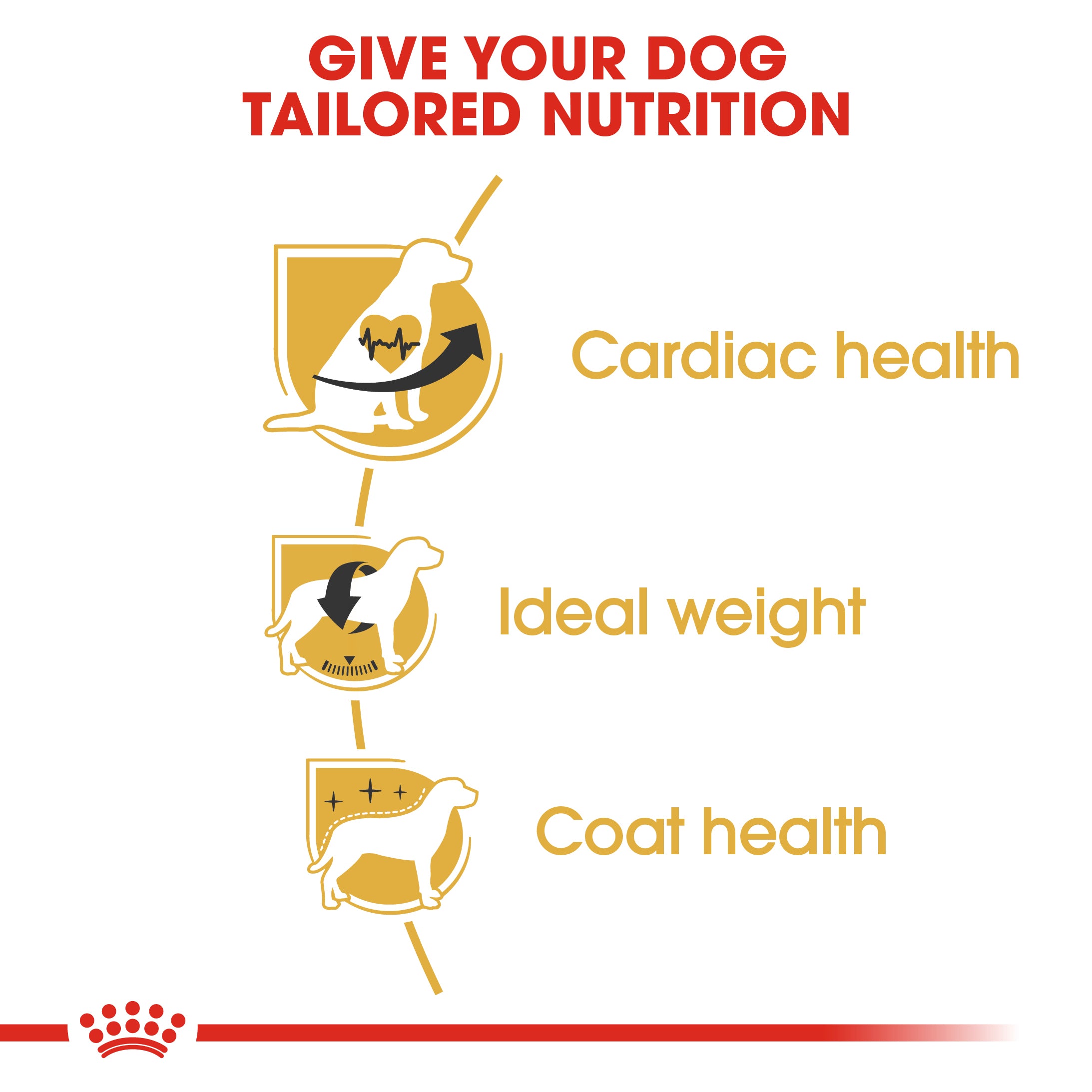 Royal Canin Cavalier King Charles Adult (3KG) - Dry food for adult dogs over 10 months
