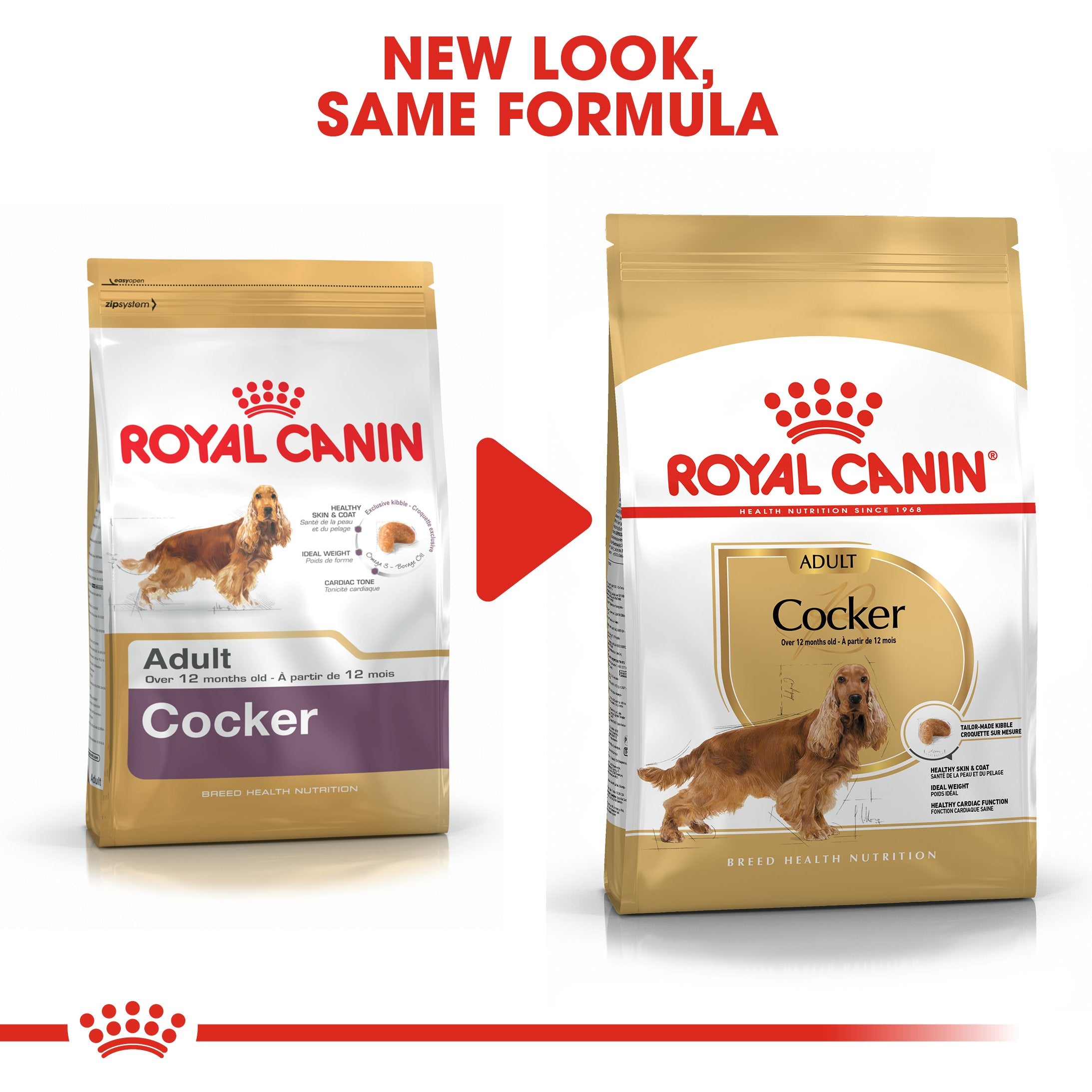 Royal Canin Cocker Adult (3 KG) - Dry food for adult Cocker dogs over 12 months - Amin Pet Shop