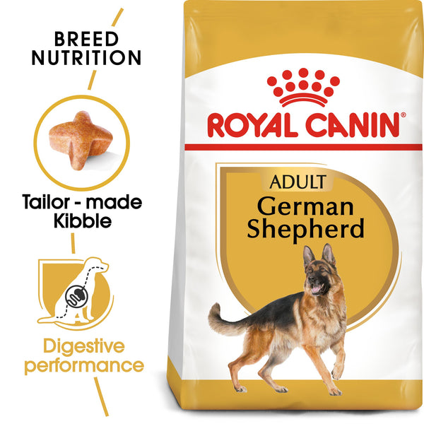 RC-BHN-GermanShepherd-MV-