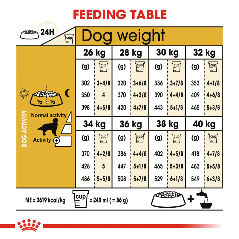 Royal Canin Golden Retriever Adult (16 KG) Ð Dry food for adult dogs over 15 months - Amin Pet Shop