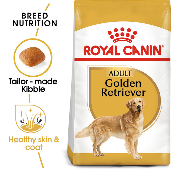 RC-BHN-GoldenRetriever-MV-