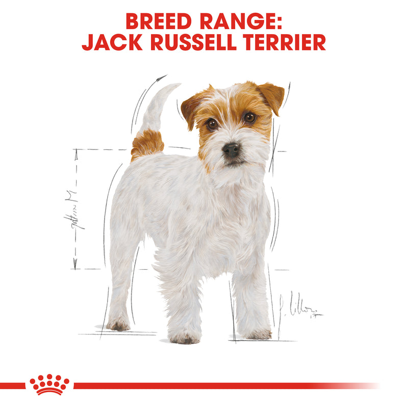 Royal Canin Jack Russell Terrier Adult (3 KG) - Dry food for adult dogs over 10 months