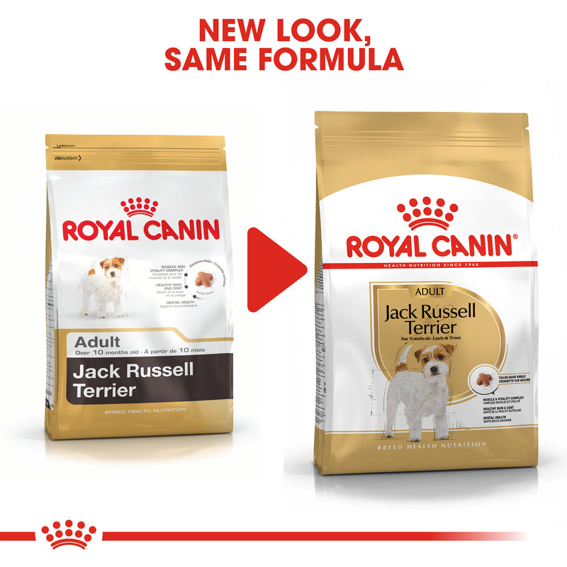 Royal Canin Jack Russell Terrier Adult (3 KG) - Dry food for adult dogs over 10 months