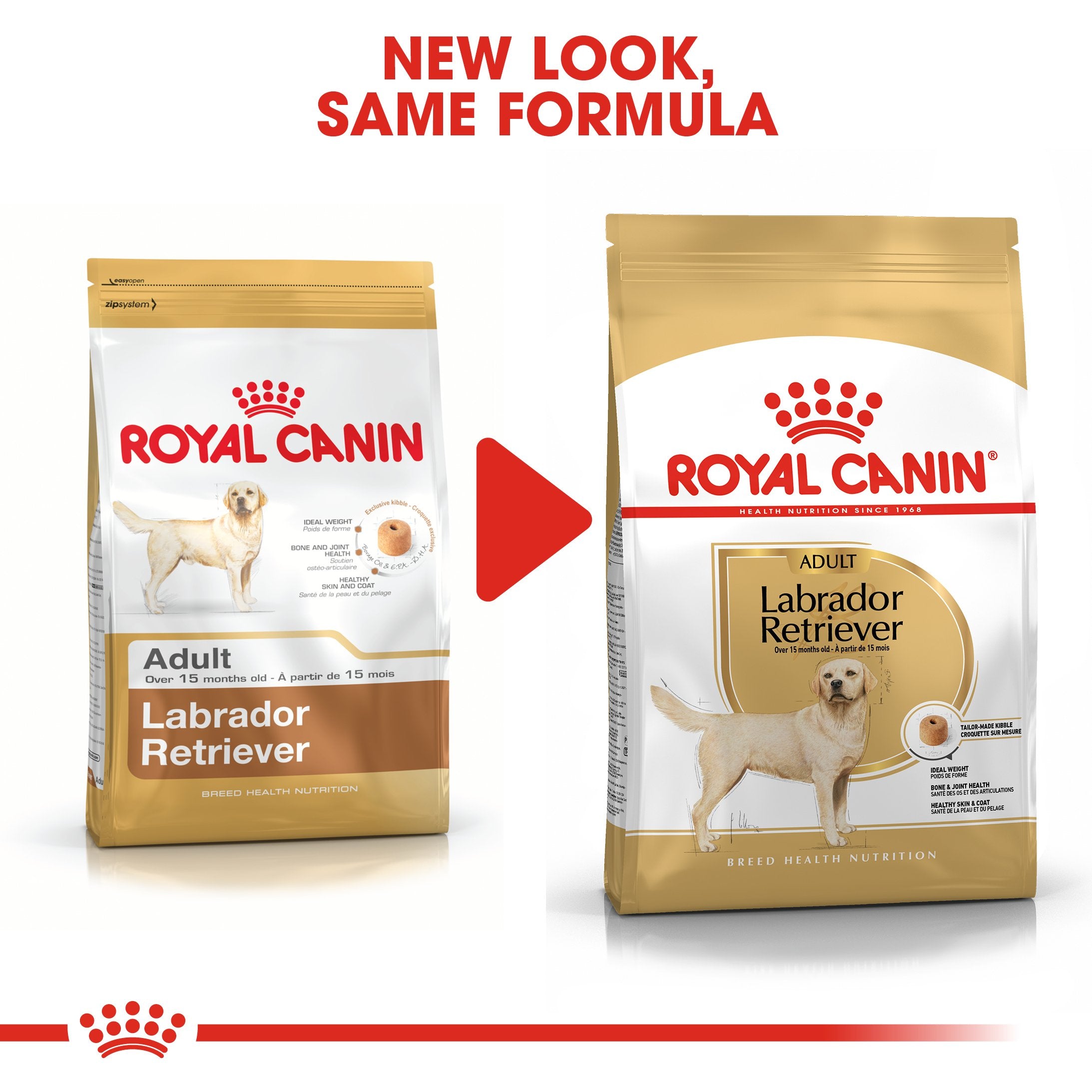 Royal Canin Labrador Retriever Adult (13KG) - Dry food for adult dogs over 15 months - Amin Pet Shop