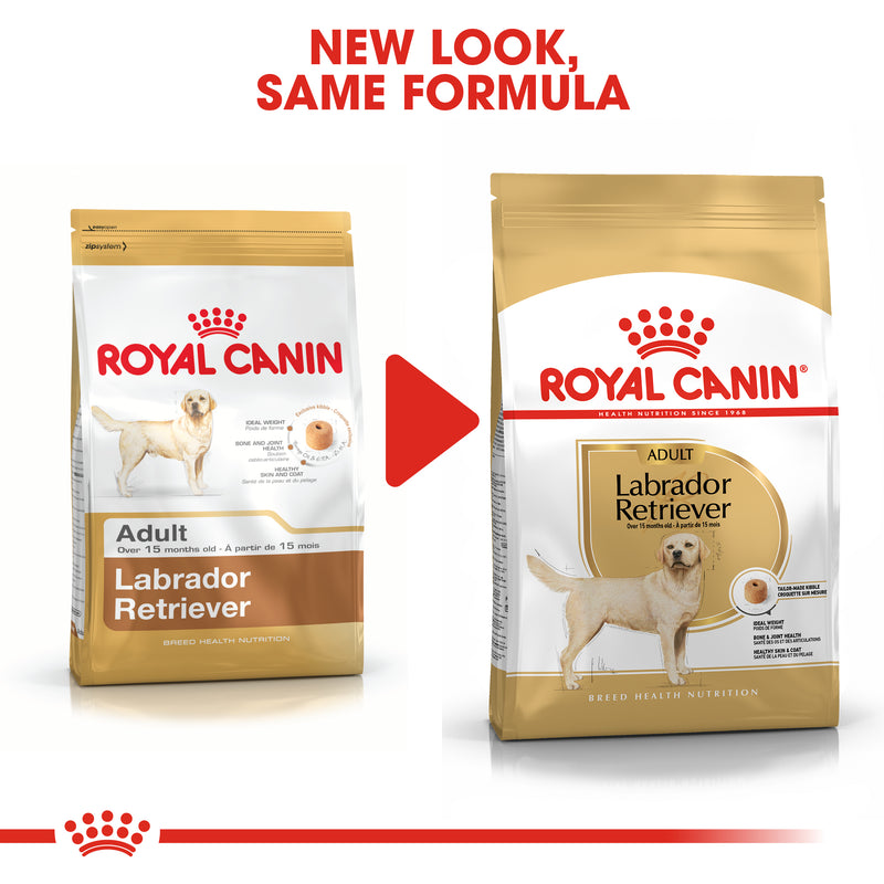 Royal Canin Labrador Retriever Adult (3 KG) - Dry food for adult dogs over 15 months