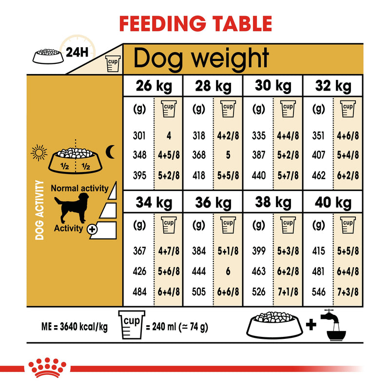 Royal Canin Labrador Retriever Adult (13KG) - Dry food for adult dogs over 15 months - Amin Pet Shop