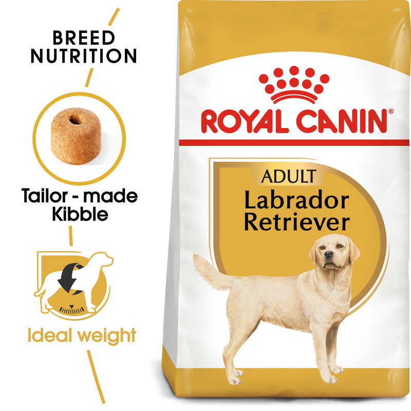 Royal Canin Labrador Retriever Adult (3 KG) - Dry food for adult dogs over 15 months