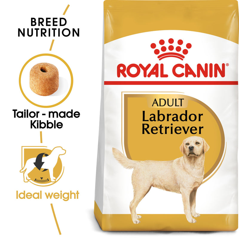 Royal Canin Labrador Retriever Adult (13KG) - Dry food for adult dogs over 15 months - Amin Pet Shop