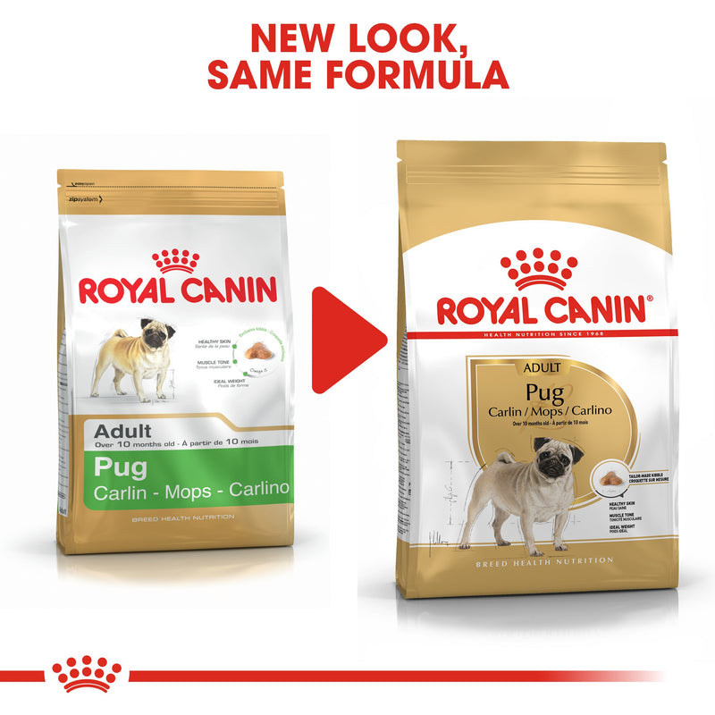 Royal Canin Pug Adult (1.5KG) - Dry food for adult dogs over 10 months old - Amin Pet Shop