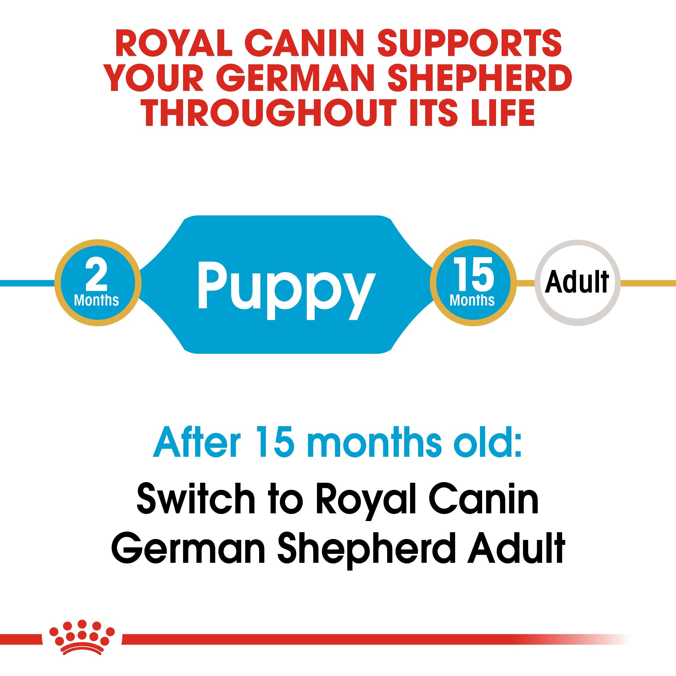 Royal Canin German Shepherd Puppy (16 KG) - Dry food for puppies up to 15 months - Amin Pet Shop