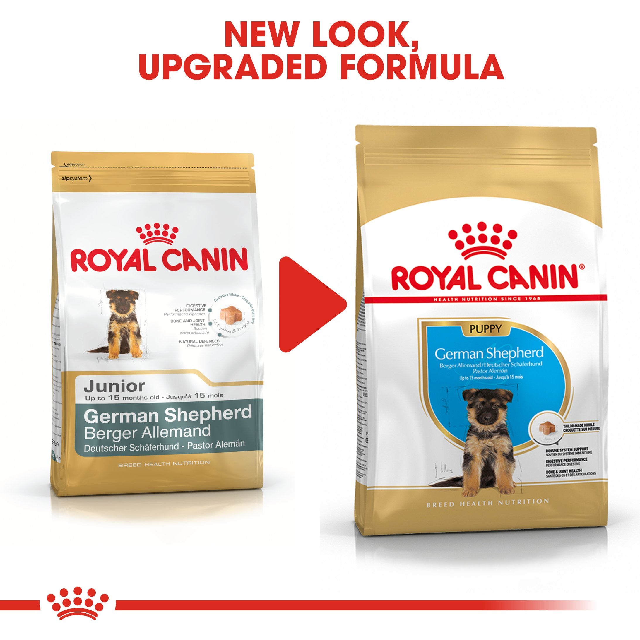 Royal Canin German Shepherd Puppy (16 KG) - Dry food for puppies up to 15 months - Amin Pet Shop