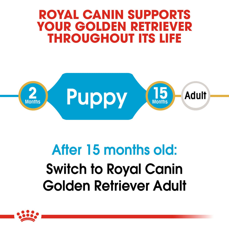 Royal Canin Golden Retriever Puppy (17KG) - Dry food for puppies up to 15 months - Amin Pet Shop