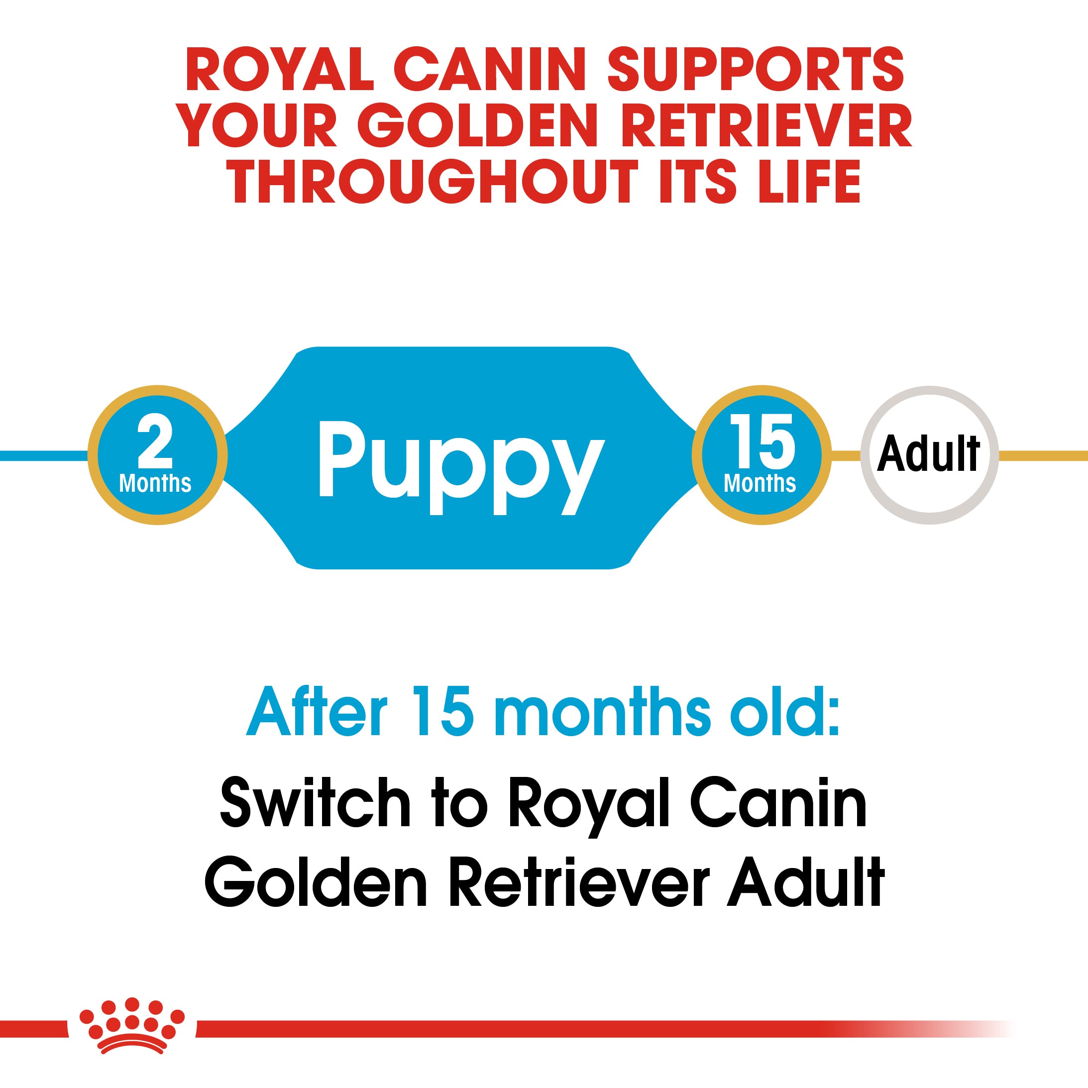 Royal Canin Golden Retriever Puppy (3 KG) - Dry food for puppies up to 15 months