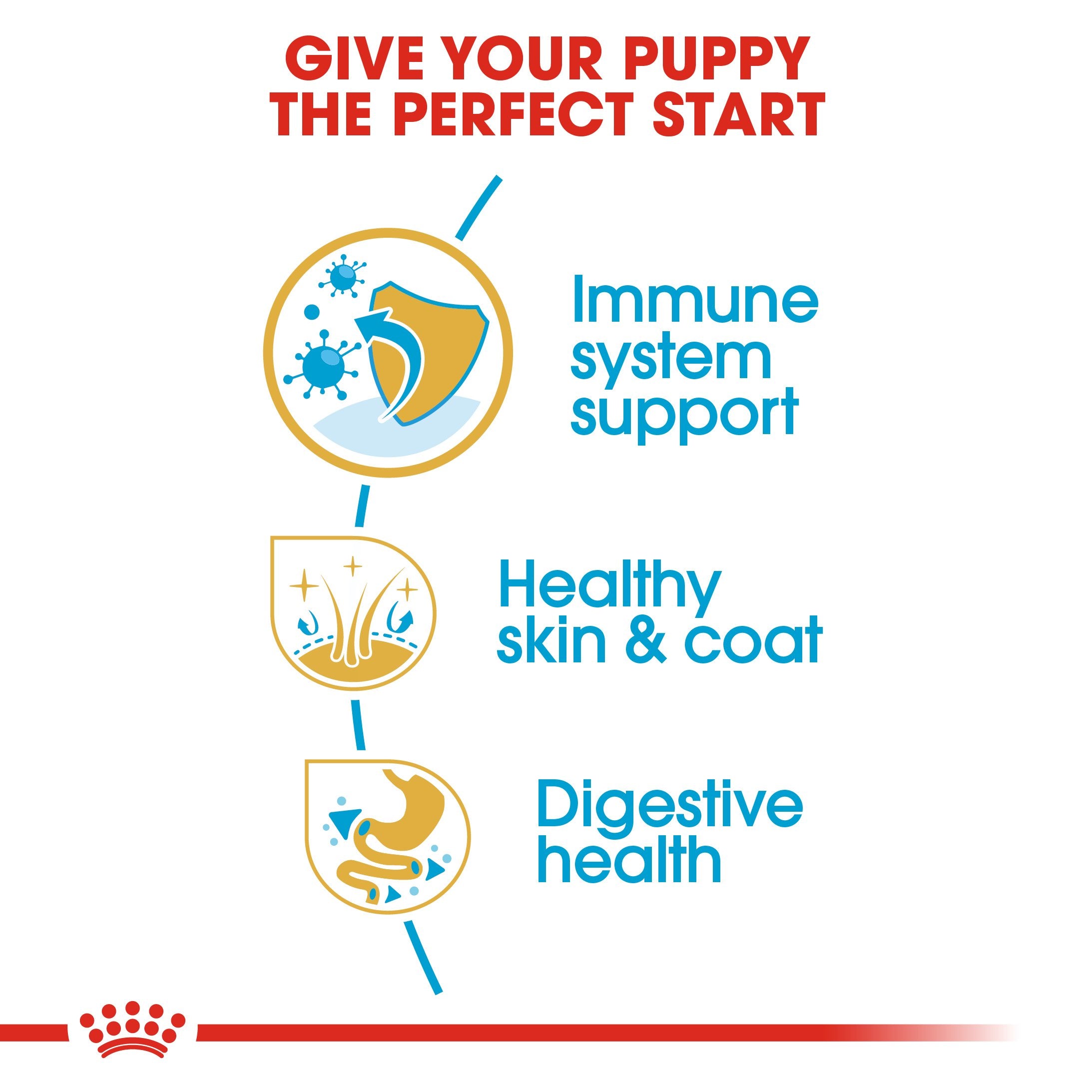 Royal Canin Golden Retriever Puppy (17KG) - Dry food for puppies up to 15 months - Amin Pet Shop