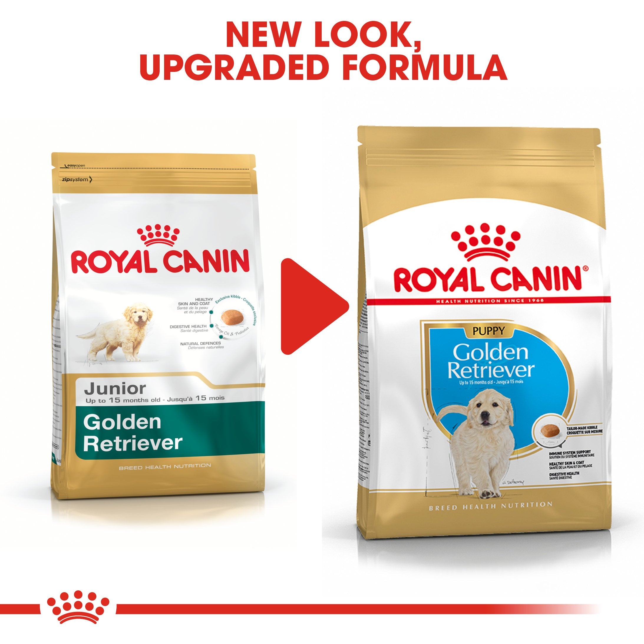 Royal Canin Golden Retriever Puppy (17KG) - Dry food for puppies up to 15 months - Amin Pet Shop