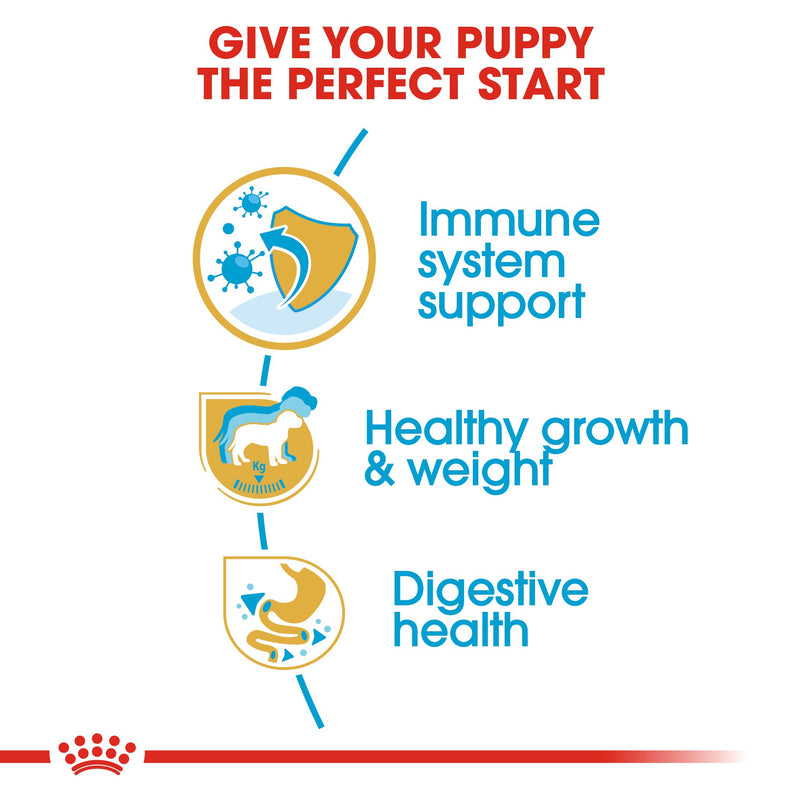 Royal Canin Labrador Retriever Puppy (16KG) - Dry food for puppies up to 15 months - Amin Pet Shop