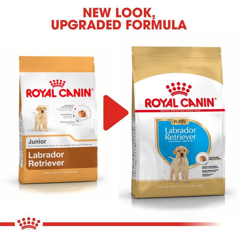 Royal Canin Labrador Retriever Puppy (16KG) - Dry food for puppies up to 15 months - Amin Pet Shop