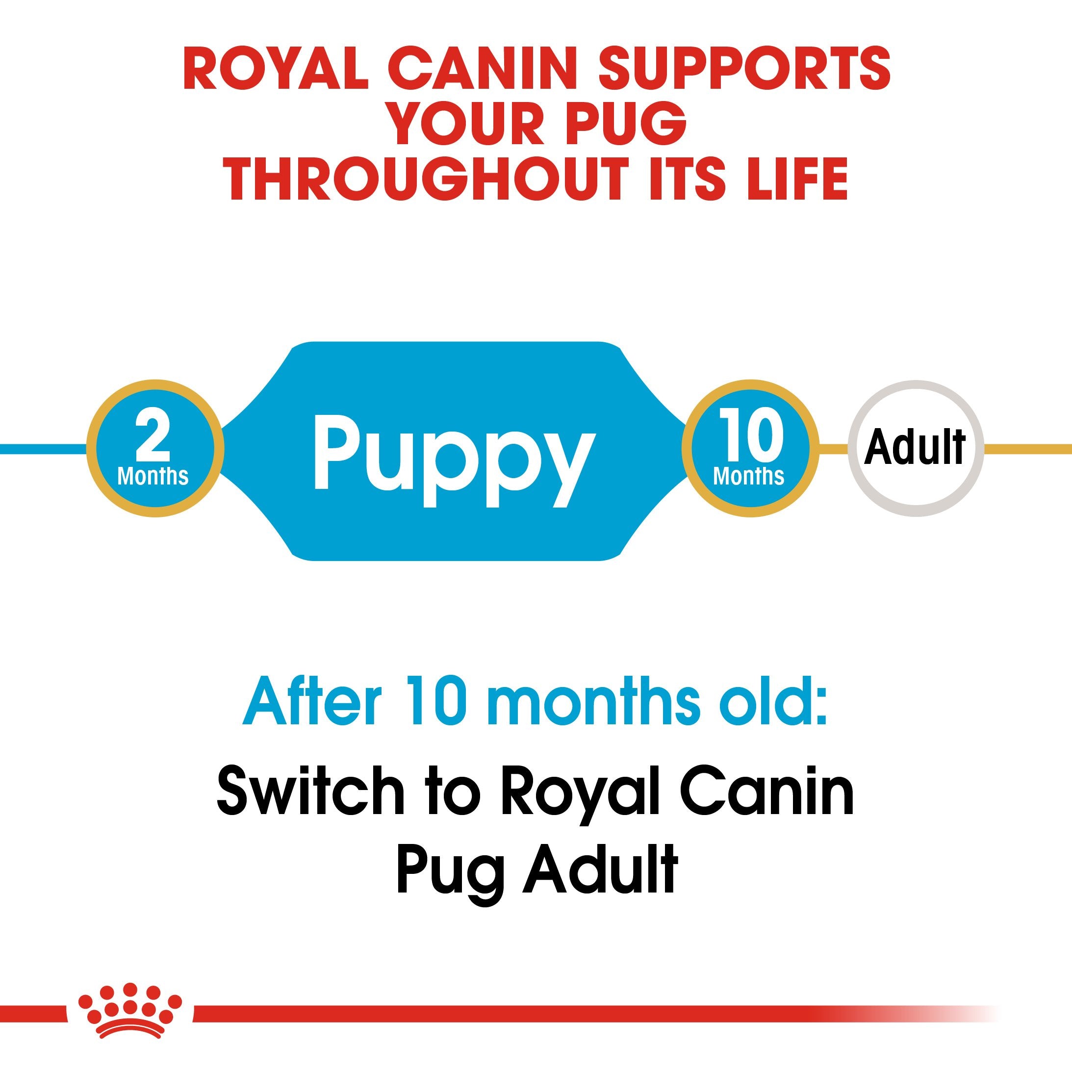 Royal Canin Pug Puppy (1.5) - Dry food for puppies 10 months - Amin Pet Shop