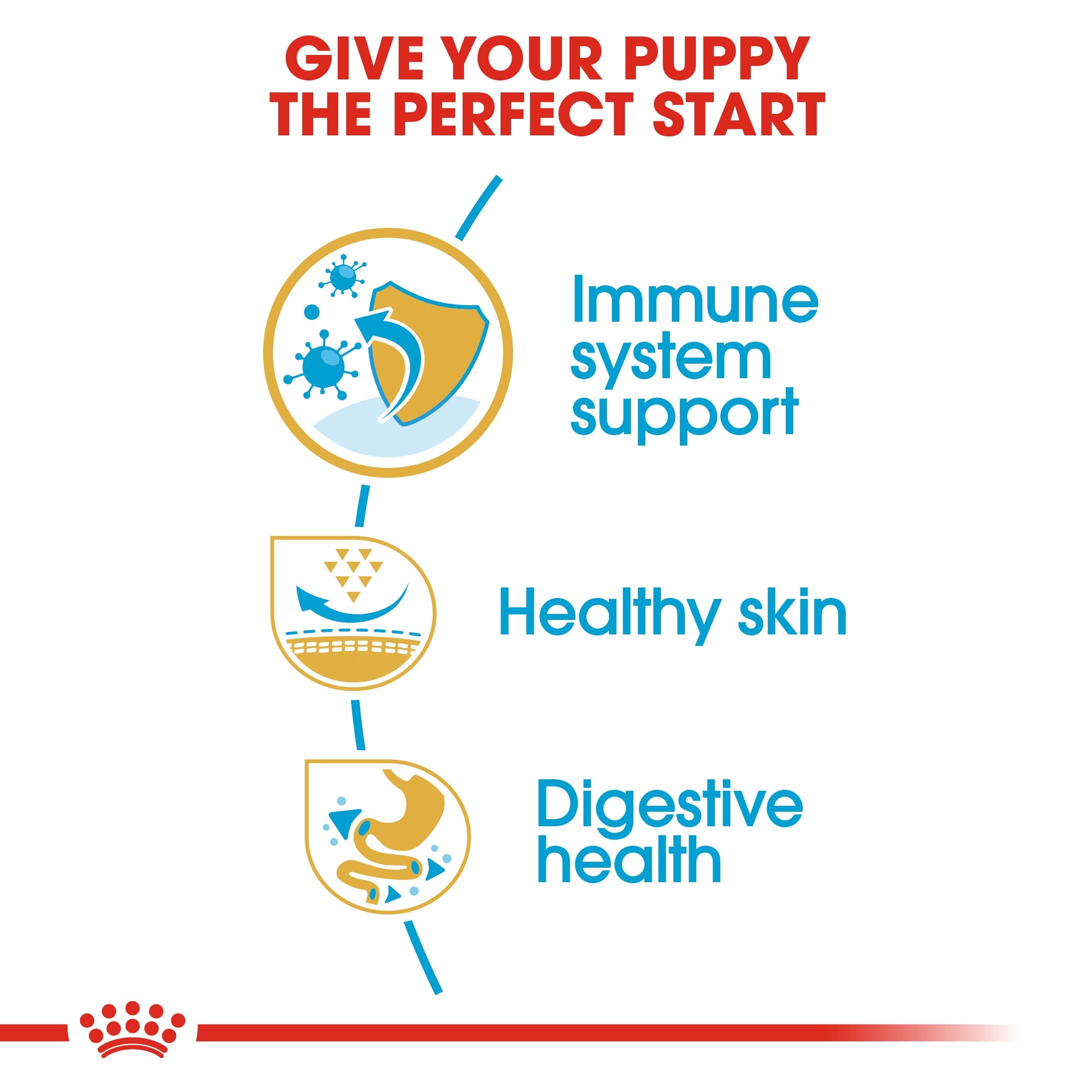 Royal Canin Pug Puppy (1.5) - Dry food for puppies 10 months - Amin Pet Shop