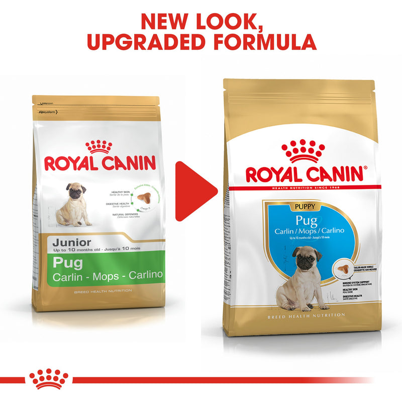 Royal Canin Pug Puppy (1.5) - Dry food for puppies 10 months - Amin Pet Shop