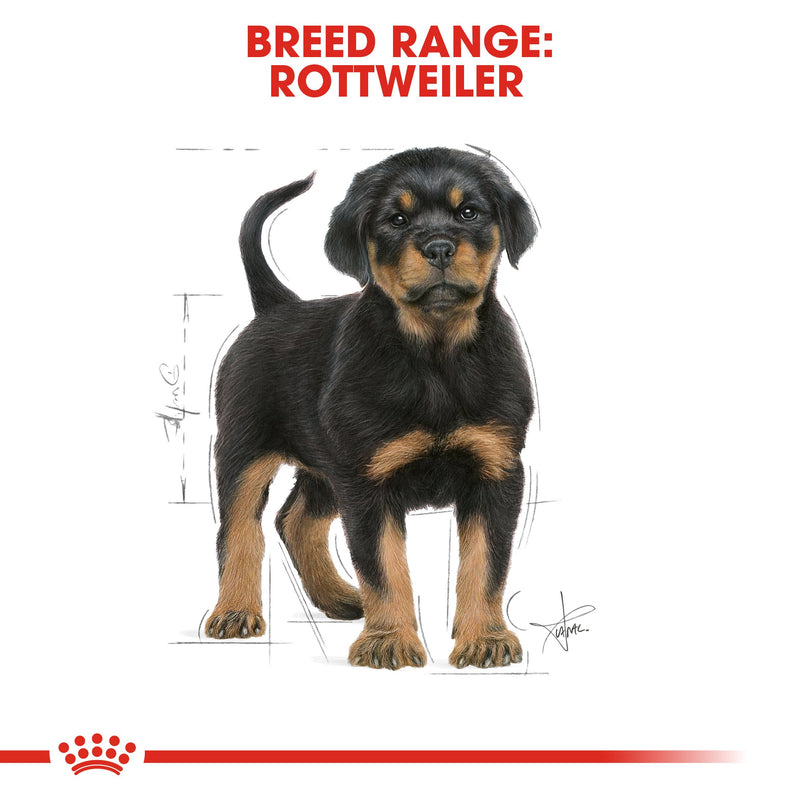 Royal Canin Rottweiler Puppy (12 KG) - for Rottweiler puppies up to 18 months - Amin Pet Shop