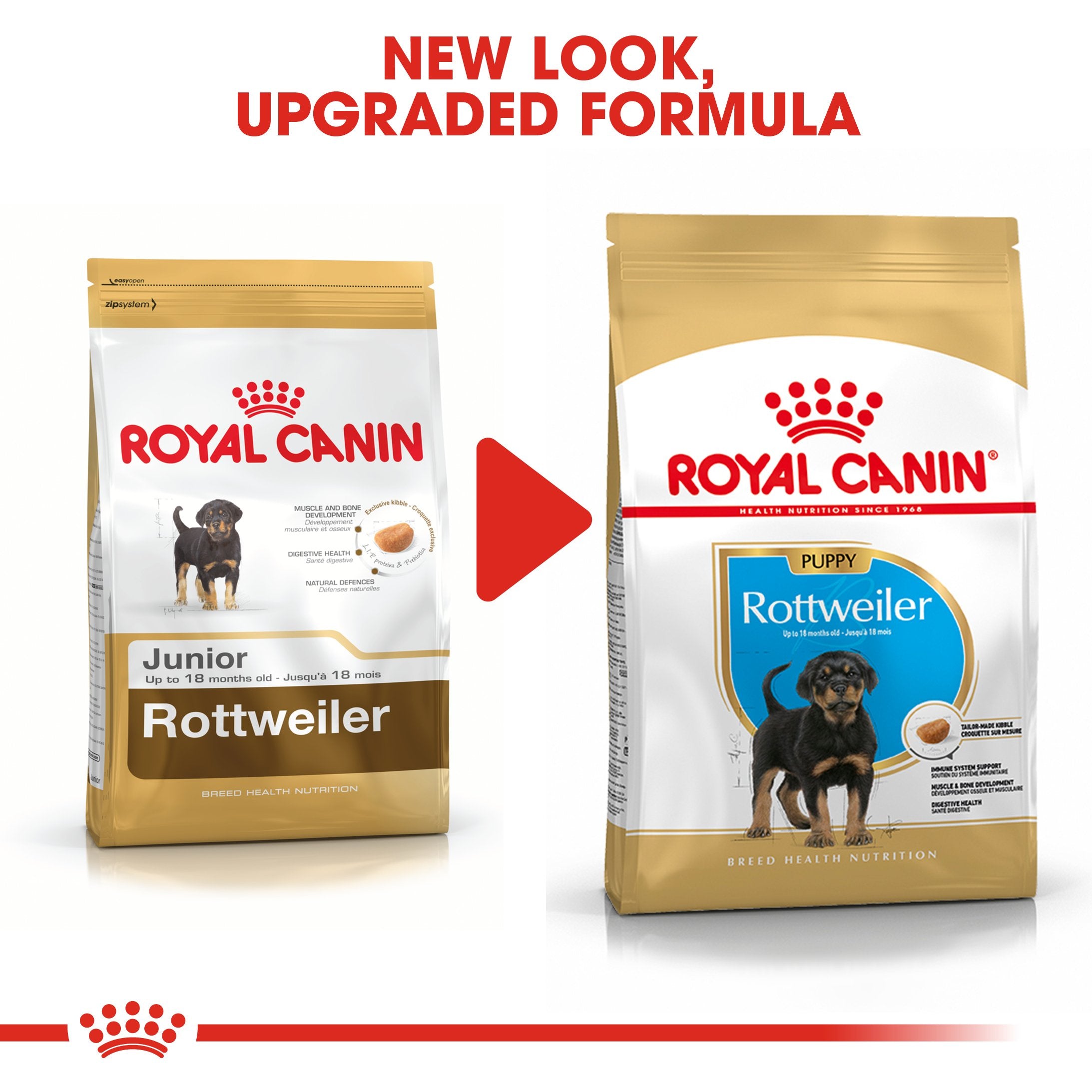 Royal Canin Rottweiler Puppy (12 KG) - for Rottweiler puppies up to 18 months - Amin Pet Shop