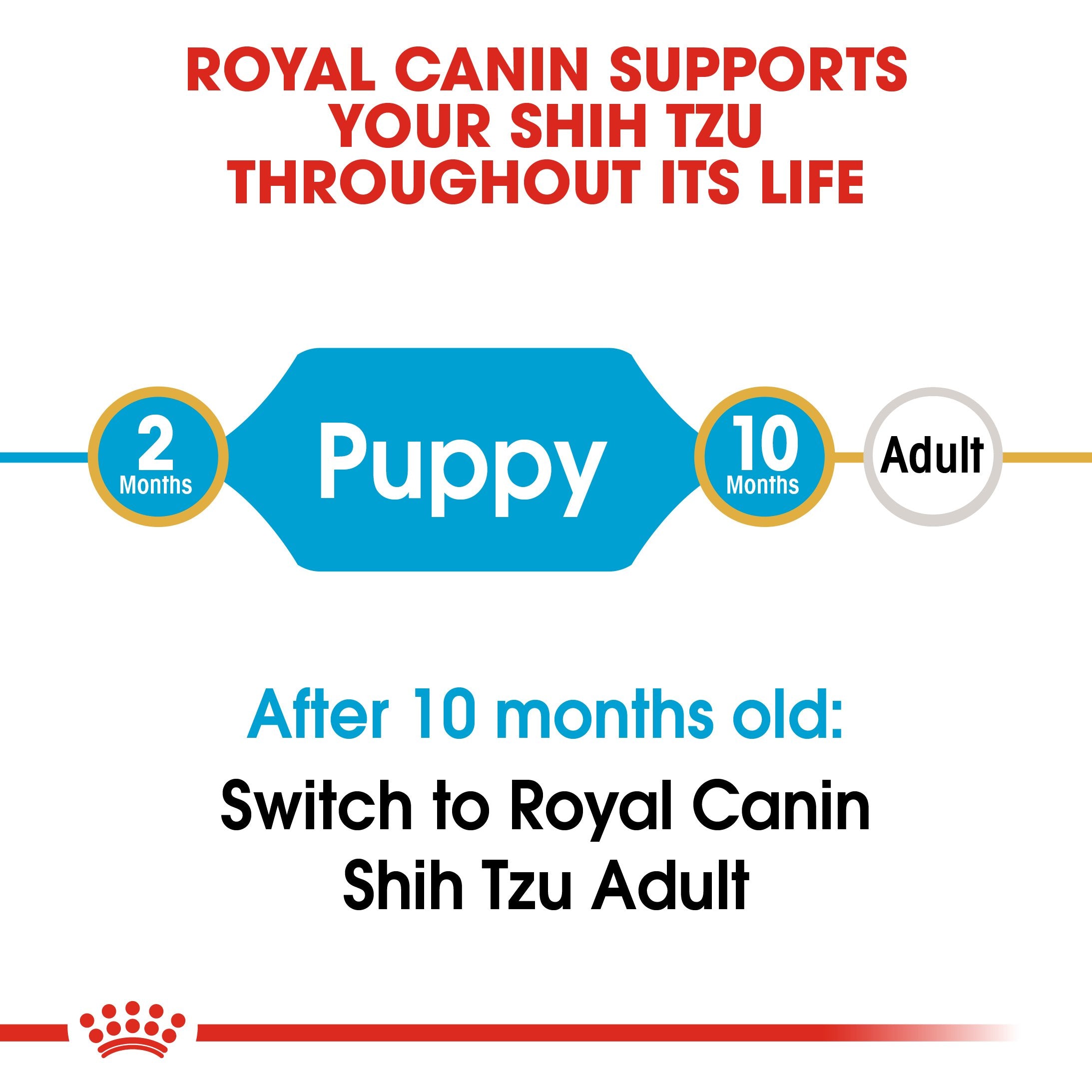 Royal Canin Shih Tzu Puppy (1.5 KG) - Dry food for puppies up to 10 months old - Amin Pet Shop