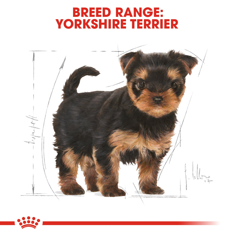 Royal Canin Yorkshire Terrier Puppy (1.5 KG) - Dry food for puppies up to 10 months old