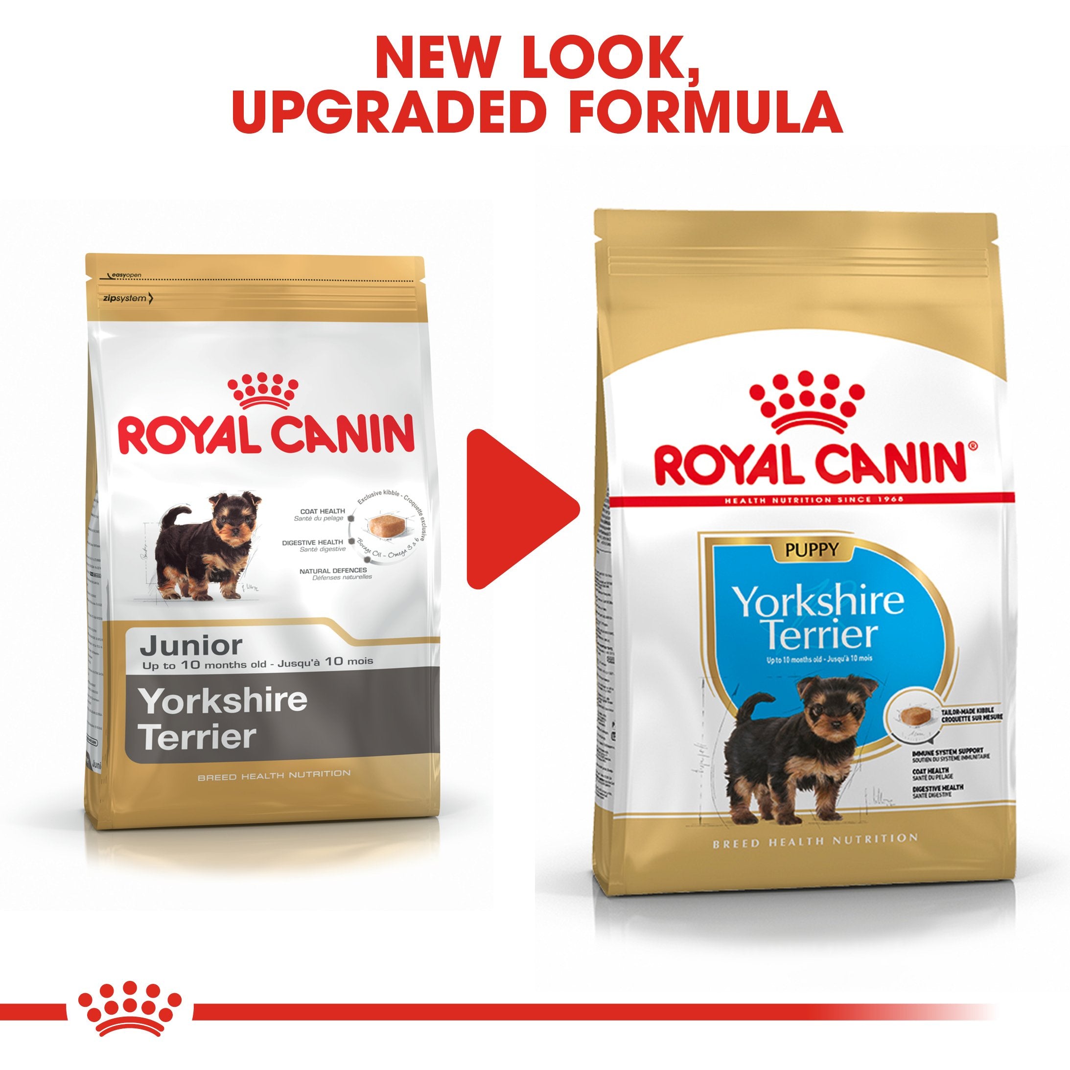 Royal Canin Yorkshire Terrier Puppy (1.5 KG) - Dry food for puppies up to 10 months old