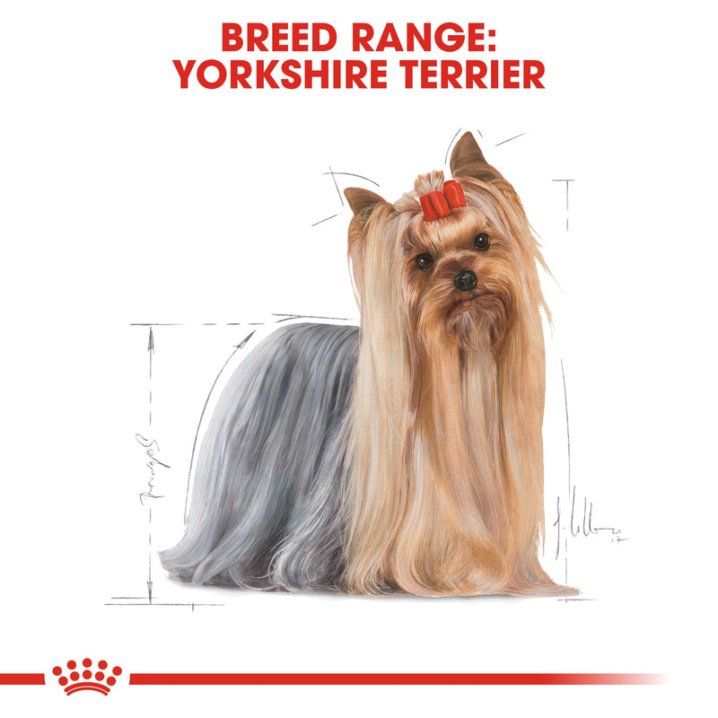 Royal Canin Yorkshire Terrier Adult in Loaf (85 gm\Pouch) - Wet food for adult dogs over 10 months old - Amin Pet Shop
