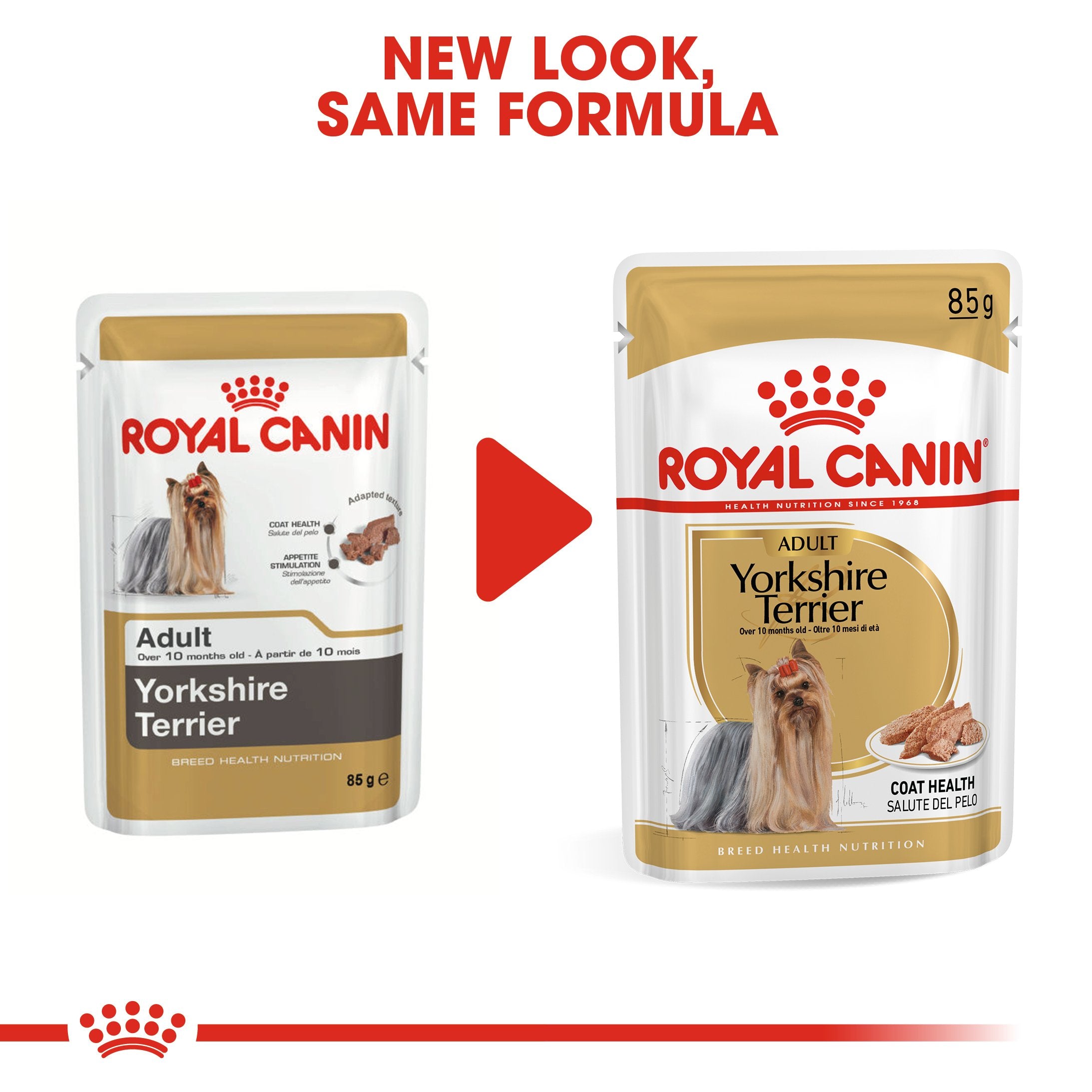 Royal Canin Yorkshire Terrier Adult in Loaf (85 gm\Pouch) - Wet food for adult dogs over 10 months old - Amin Pet Shop