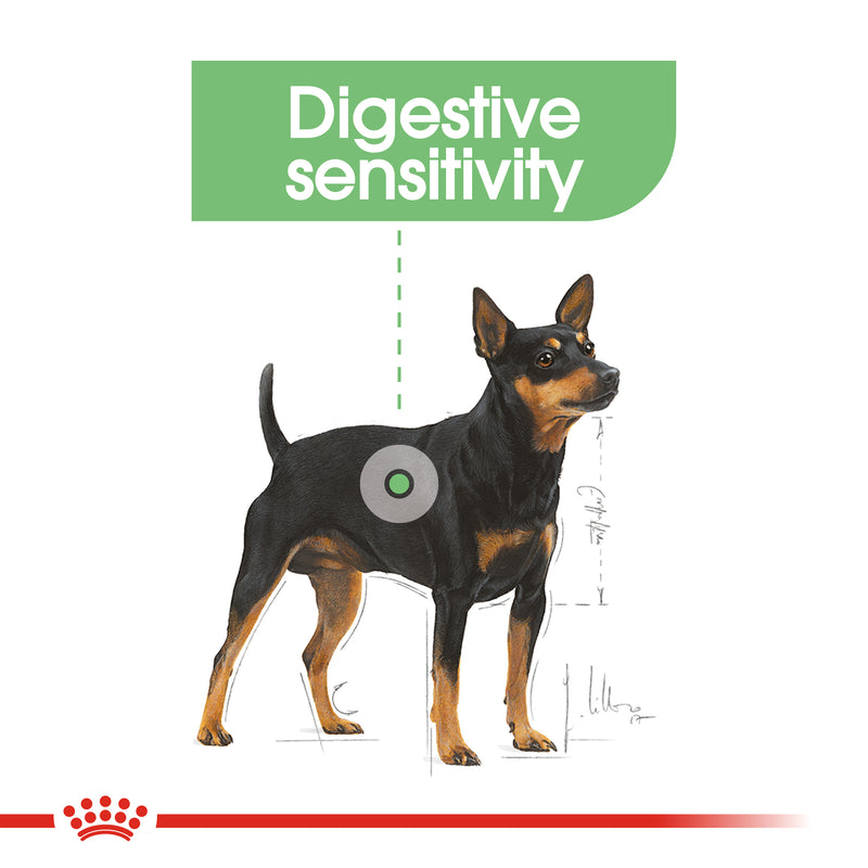Royal Canin Mini Digestive Care (3 KG) - Dry food for small dogs up to 10 KG prone to digestive sensitivity. Over 10 months