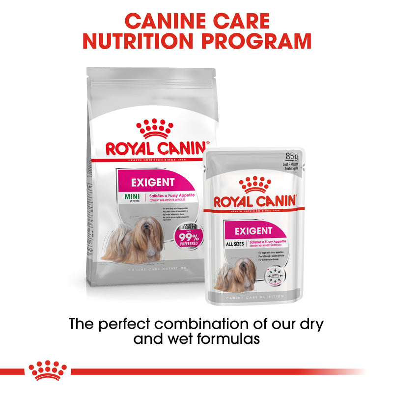 Royal Canin Mini Exigent (3 KG) - Dry food for small dogs up to 10 KG with fussy appetite. Over 10 months