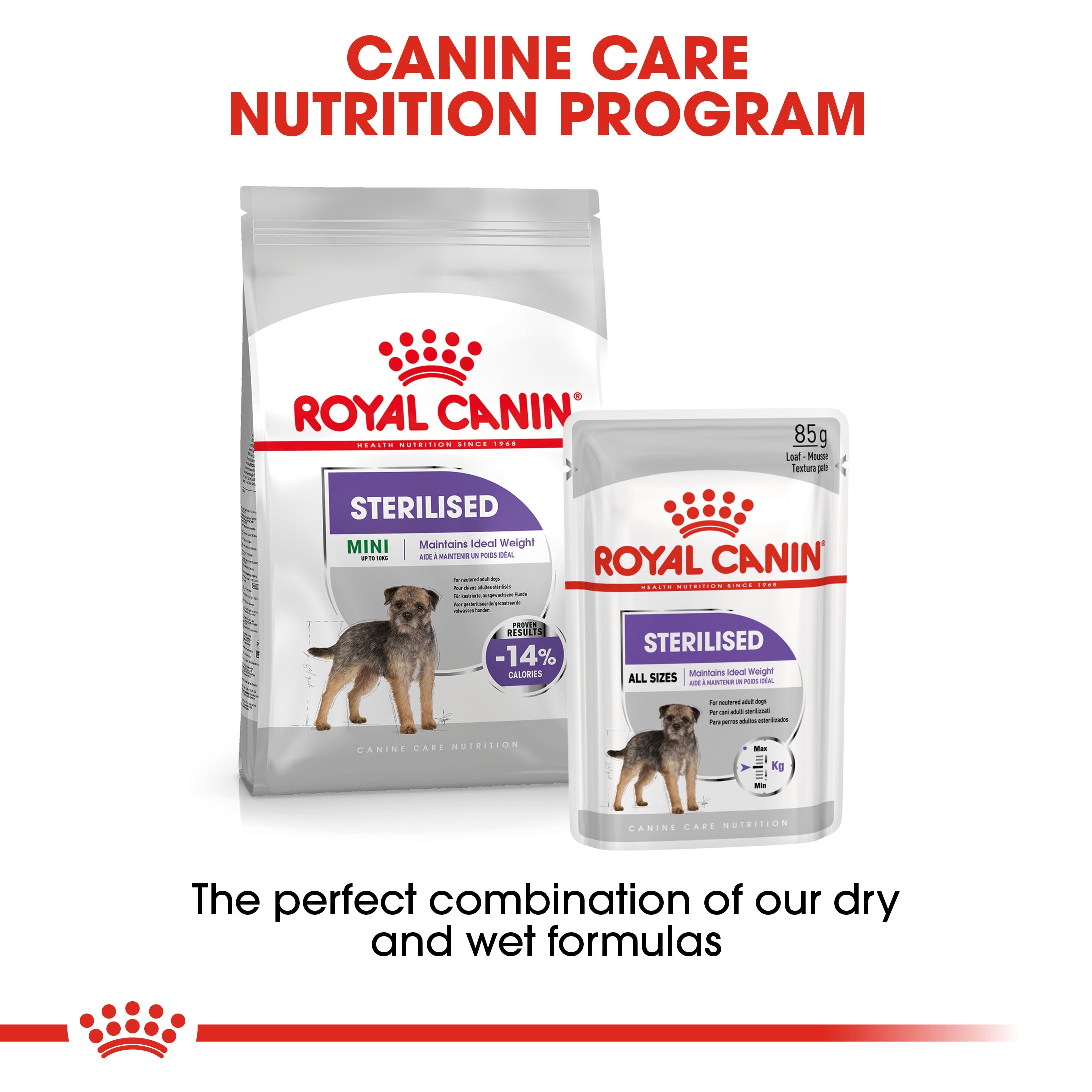 Royal Canin Mini Sterilised (3 KG) - Dry food for small dogs up to 10 KG. Over 10 months