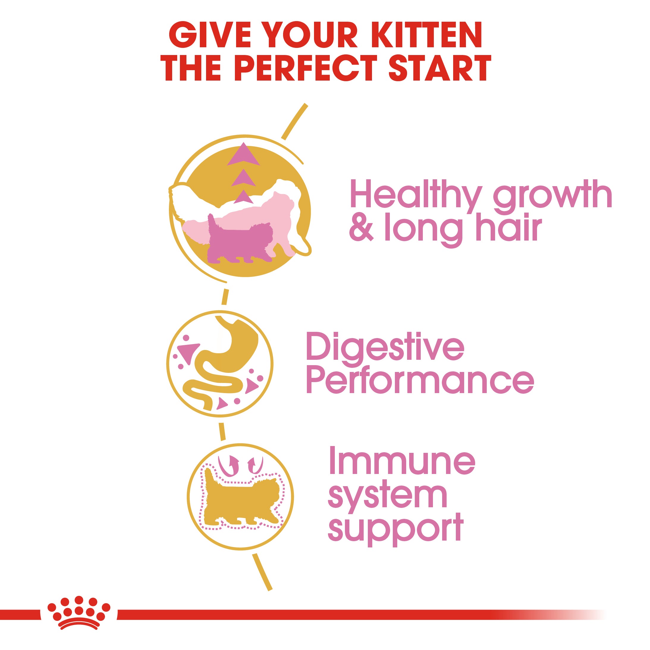 Royal Canin Persian Kitten (400g) Up to 12 months