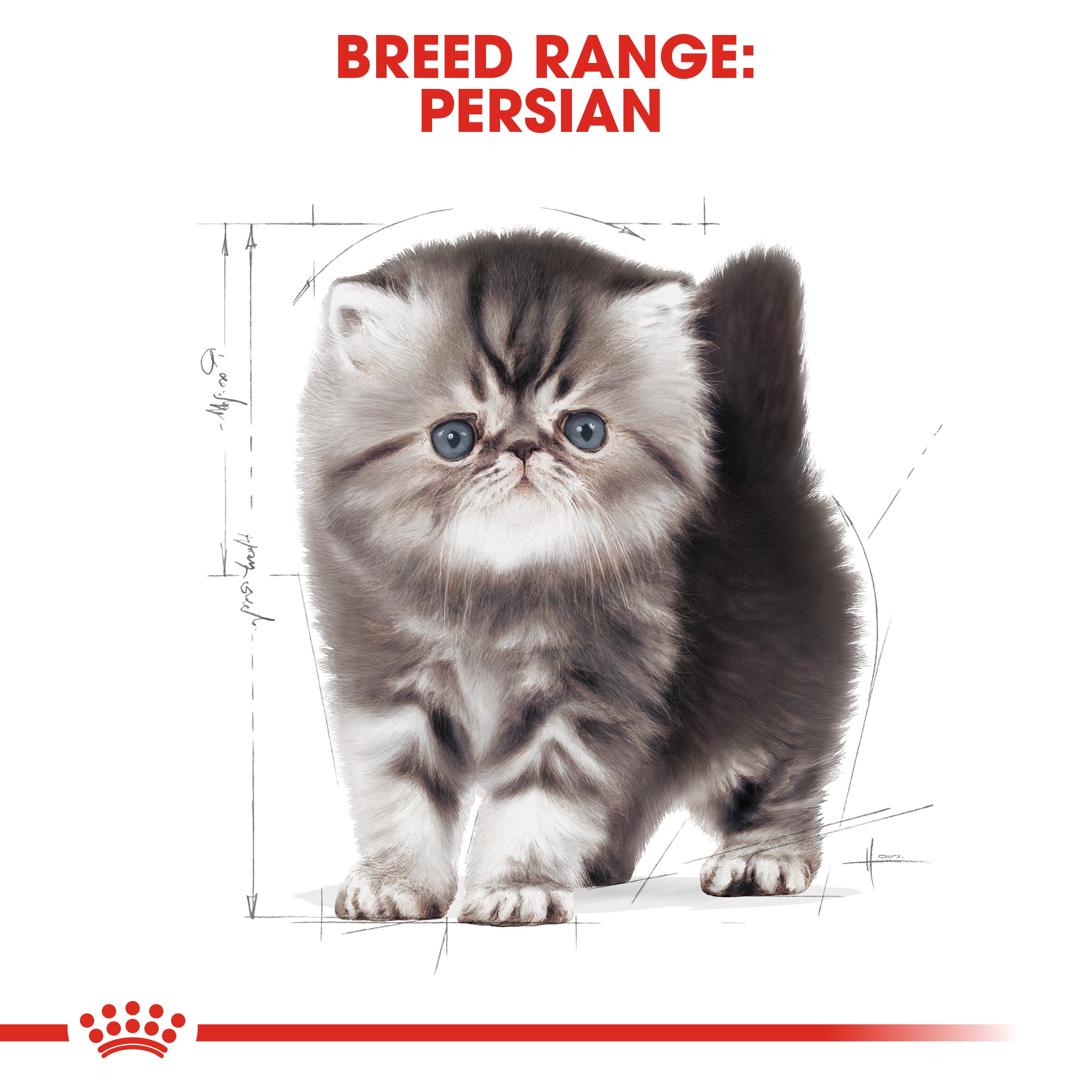 Royal Canin Persian Kitten (400g) Up to 12 months