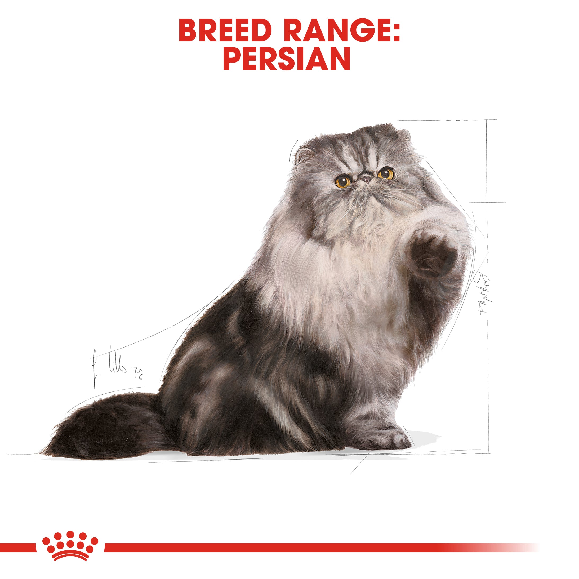 Royal Canin Persian Adult (400g) - Over 12 months