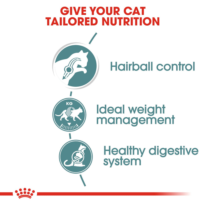 Royal Canin Hairball care (85gm\ Pouch) - Wet food for adult cats - Helps reduce hairball formation - Amin Pet Shop