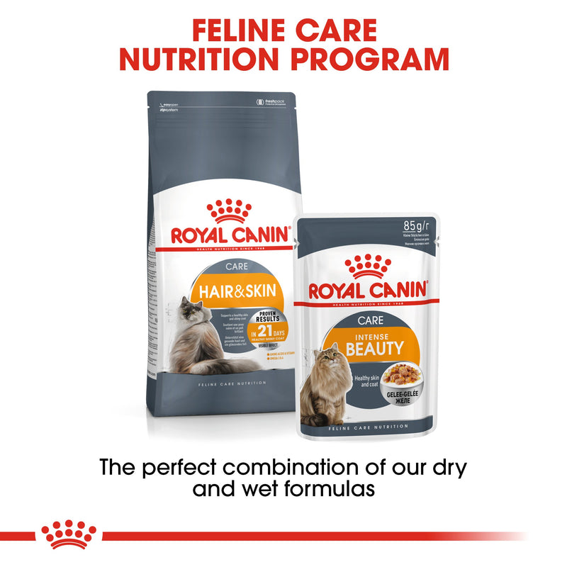Royal Canin Intense Beauty in Jelly (85gm\Pouch) - Wet food for Adult cats - supports a healthy skin and shiny coat - Amin Pet Shop