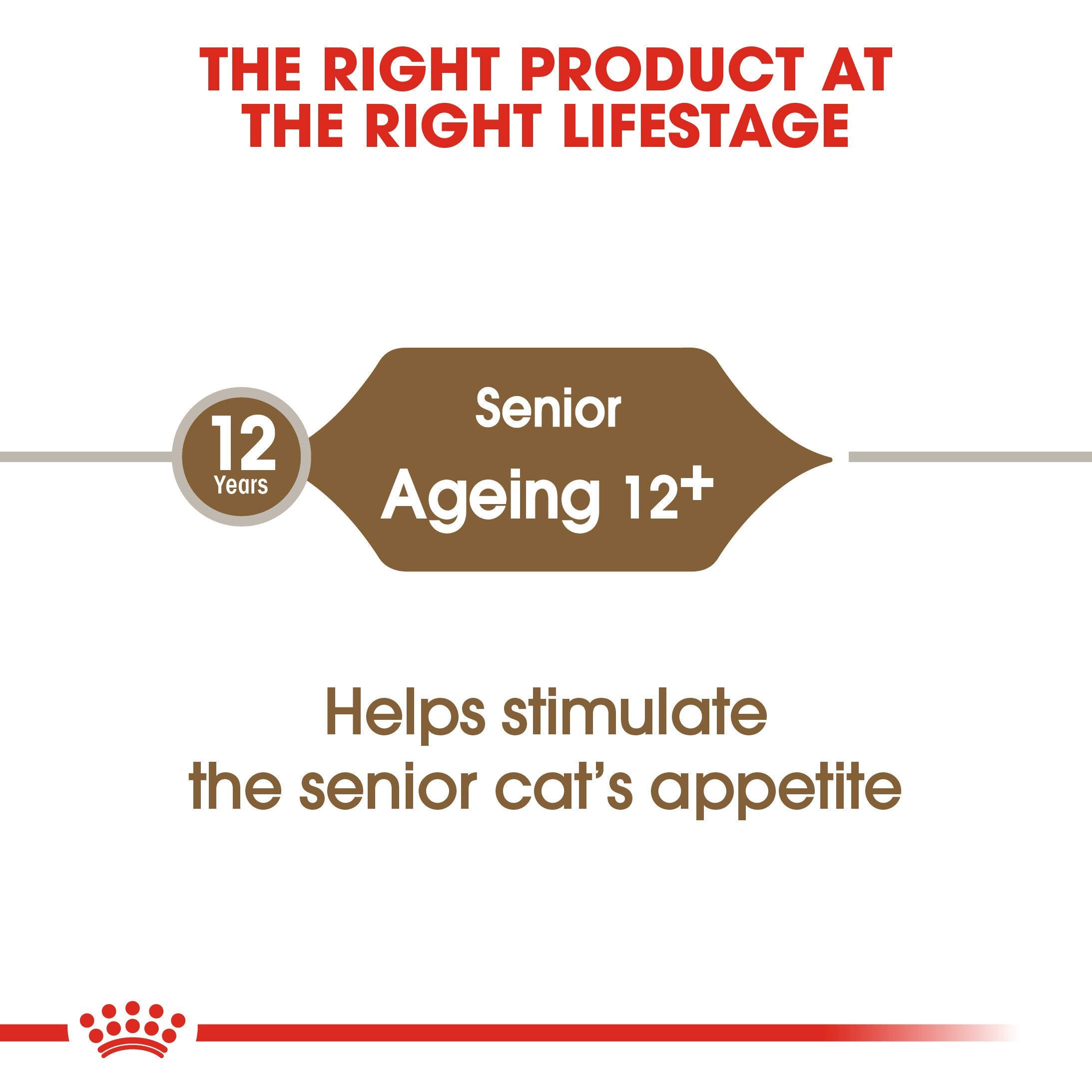 Royal Canin Ageing +12 (2KG) for Senior cats over 12 years old - Amin Pet Shop