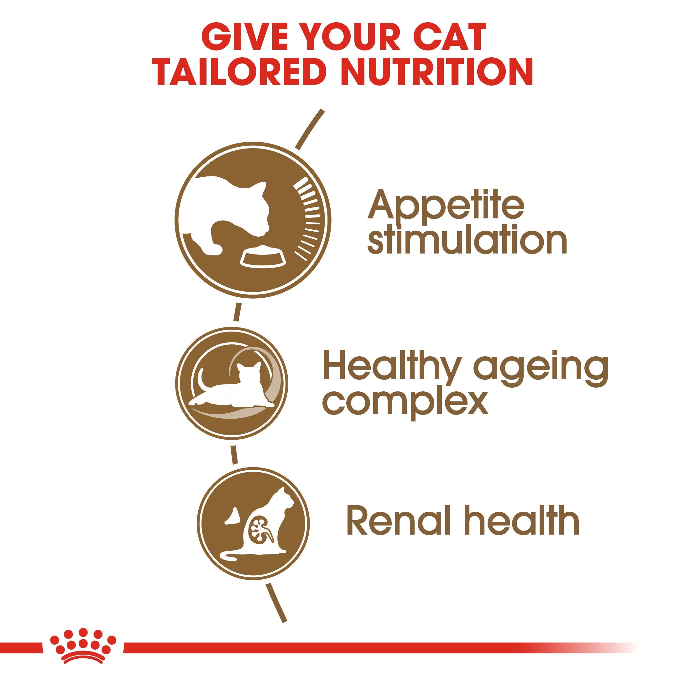 Royal Canin Ageing +12 (2KG) for Senior cats over 12 years old - Amin Pet Shop