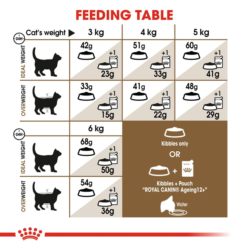Royal Canin Ageing +12 (2KG) for Senior cats over 12 years old - Amin Pet Shop