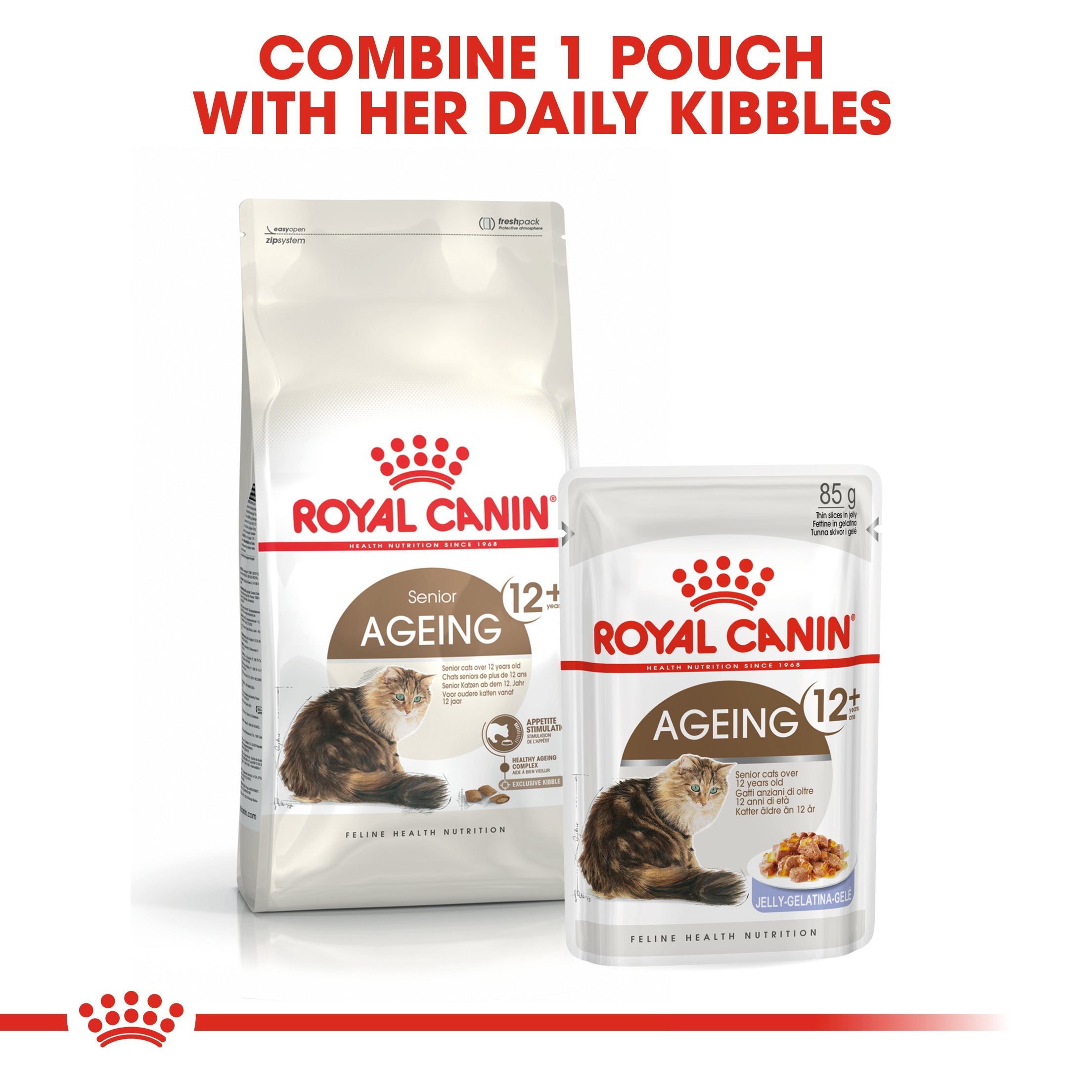 Royal Canin Ageing +12 (2KG) for Senior cats over 12 years old - Amin Pet Shop