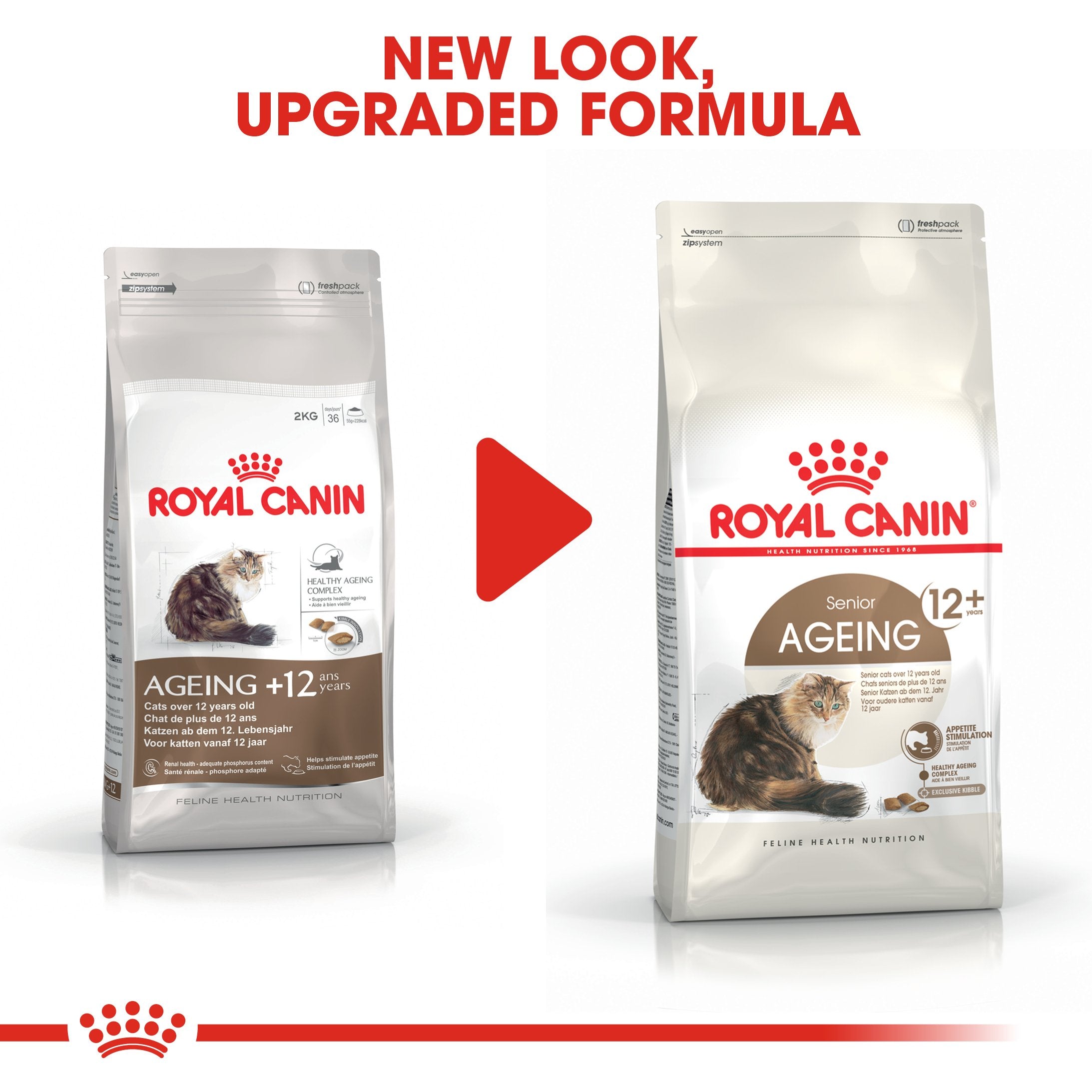 Royal Canin Ageing +12 (2KG) for Senior cats over 12 years old - Amin Pet Shop