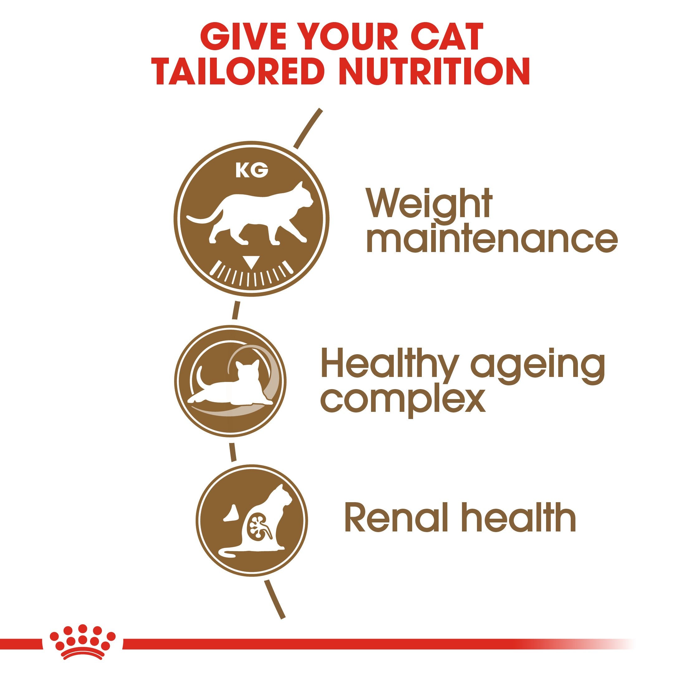 Royal Canin Ageing Sterilised 12+ (2KG) – Neutered cats over 12 years old - Amin Pet Shop