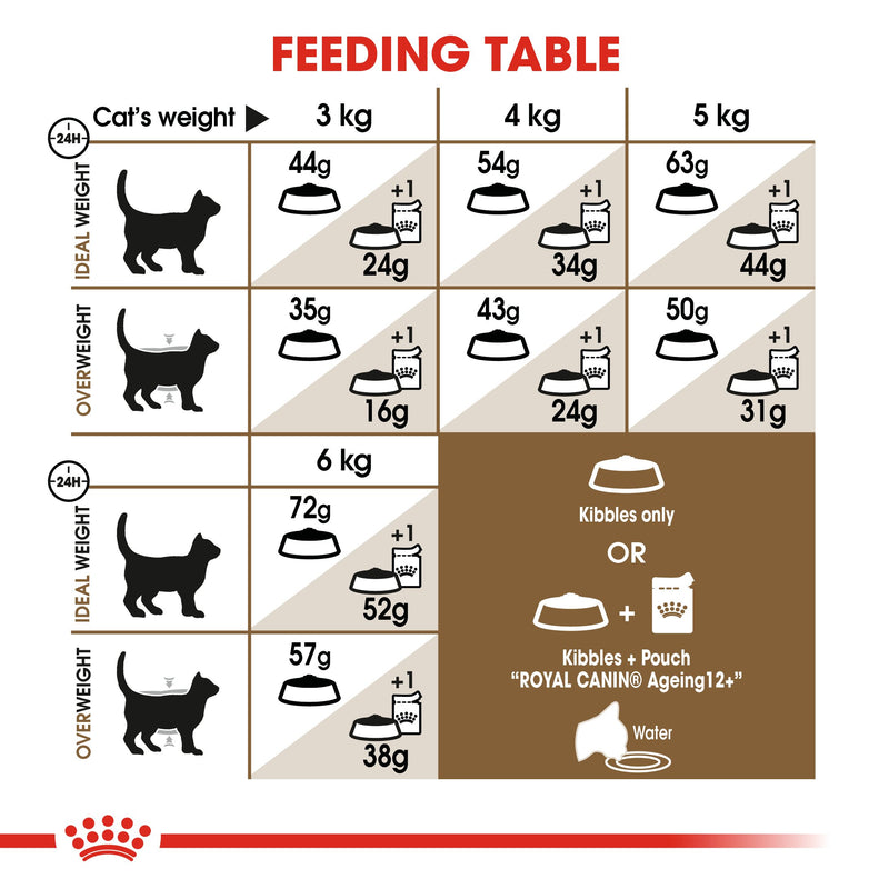 Royal Canin Ageing Sterilised 12+ (2KG) – Neutered cats over 12 years old - Amin Pet Shop