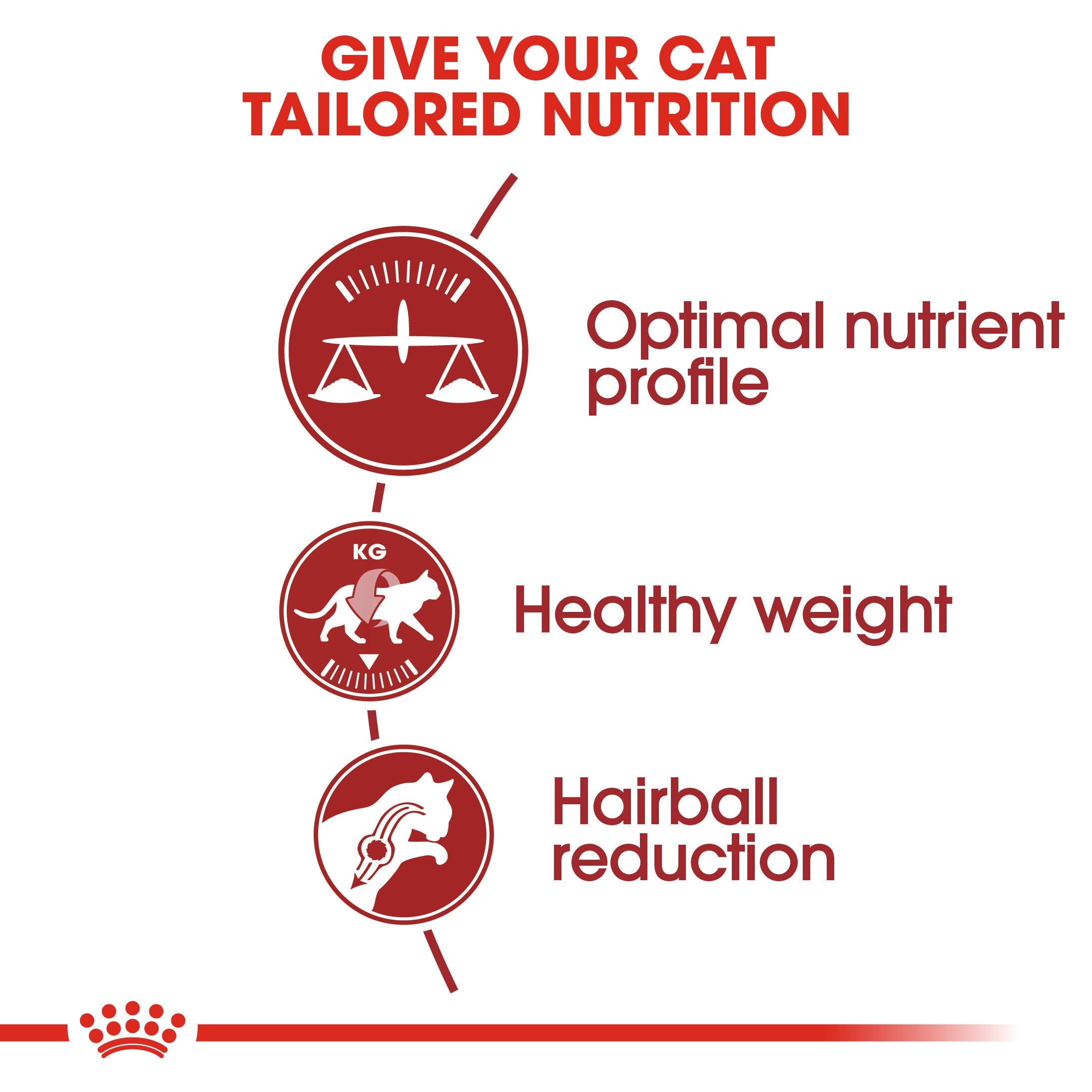 Royal Canin Fit 32 (4KG) Dry food for cats - Amin Pet Shop
