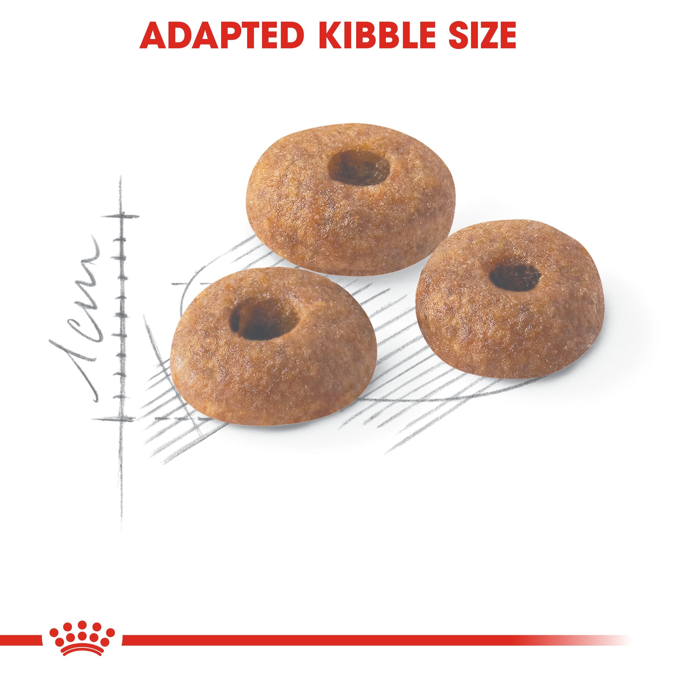Royal Canin Fit 32 (4KG) Dry food for cats - Amin Pet Shop